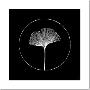 Hand Drawn Ginkgo Leaf Posters and Art